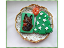 �������+����+���� ��������, 200/220 ���