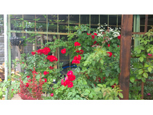 WP 20170721 09 07 57 Pro.jpg