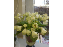 �-����������