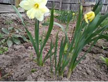 IMG 20170506 170707.jpg