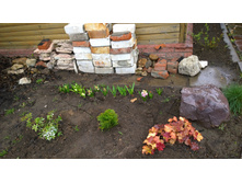 WP 20170508 11 52 53 Pro.jpg