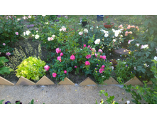 WP 20170716 18 42 32 Pro  highres.jpg