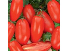 ����� ���� VF 9,10