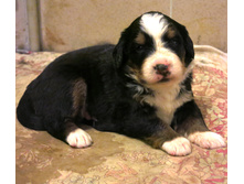 ���.���� 008.JPG