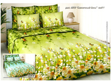 �������� ���� (���1).jpg