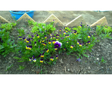 WP 20170527 09 55 22 Pro  highres.jpg