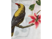 �qu�zurr� 5 (2).jpg