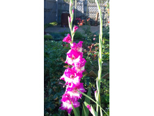 WP 20170910 09 05 18 Pro.jpg