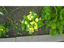 WP 20170527 09 48 47 Pro  highres.jpg