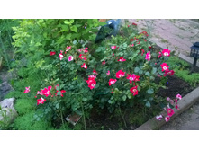 WP 20170719 20 56 28 Pro.jpg