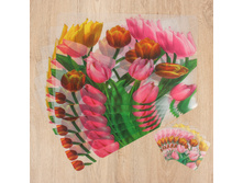 ����� �������� �������� 12 �� "��������" 6 �� - 42�27 ��, 6 �� - 9�9 �� ������; �����; 43 �� × 28 ��; �������; � ����� 100 �������. ���.: 2444800