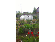 WP 20170527 09 49 36 Pro  highres.jpg