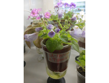 ��-������ � ������