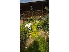 WP 20170820 09 45 31 Pro  highres.jpg