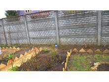 WP 20170508 11 51 50 Pro.jpg