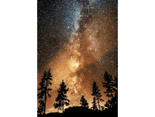 Org �������� ���� 48�70 Ag 566.jpg