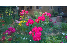 WP 20170728 20 24 40 Pro.jpg