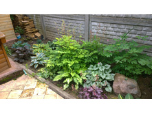 WP 20170709 12 45 18 Pro.jpg