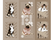 ������� �������(����������).jpg