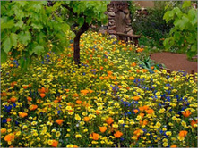 ����������(3��)������������ ����� 1 598,00���.jpg