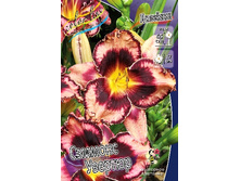 ������� �������(No1-4) =��