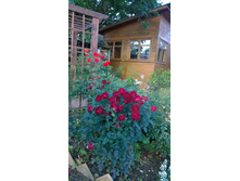 WP 20170910 09 08 08 Pro.jpg