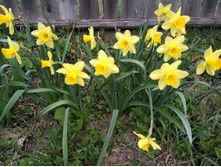 IMG 20170506 170733.jpg