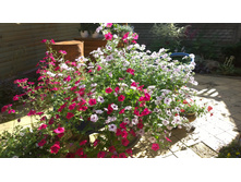 WP 20170806 16 19 34 Pro.jpg