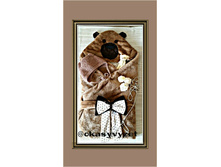 �������� �� ������� � ������� ��� ��������������