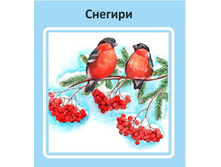 �������� �������� ����� ����������� 24�24 100���� ���������� ������� 22,50.jpg