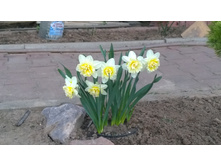 WP 20170504 19 46 19 Pro.jpg