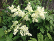 ������������ ����....