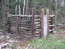 IMG 8102.JPG