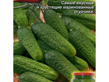 ������ ��������� F1 24,00
