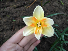 IMG 20170509 134832.jpg