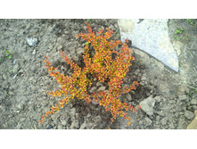 WP 20170514 16 26 51 Pro.jpg