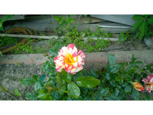 WP 20170629 10 50 20 Pro  highres.jpg