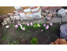 WP 20170521 16 15 15 Pro  highres.jpg