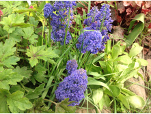 ������� ��� �����