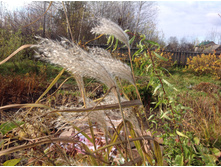 ��������� �������������