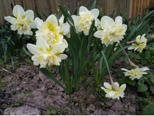 IMG 20170506 170837.jpg