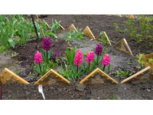 WP 20170508 11 53 26 Pro.jpg