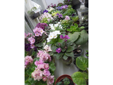 IMG 20170405 204319.jpg