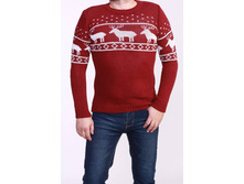 �� 017 ���� 495 ���.