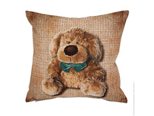 ��� ��������� 50*50 �� - ����� ��� �������