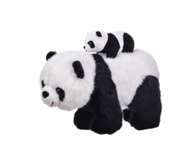 ����� � ������� �������, ����� ���. 8026� ���� 550 ���