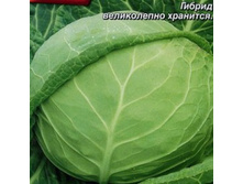 ������� �/� �������� F1 18,00