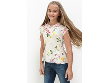 21210110015   Dendrona          .jpg