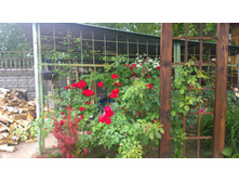 WP 20170721 09 08 08 Pro  highres.jpg