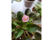 �-����������